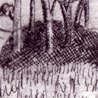 Clinchit Munt, 2008, Etching, 15x10cm, edition of 6